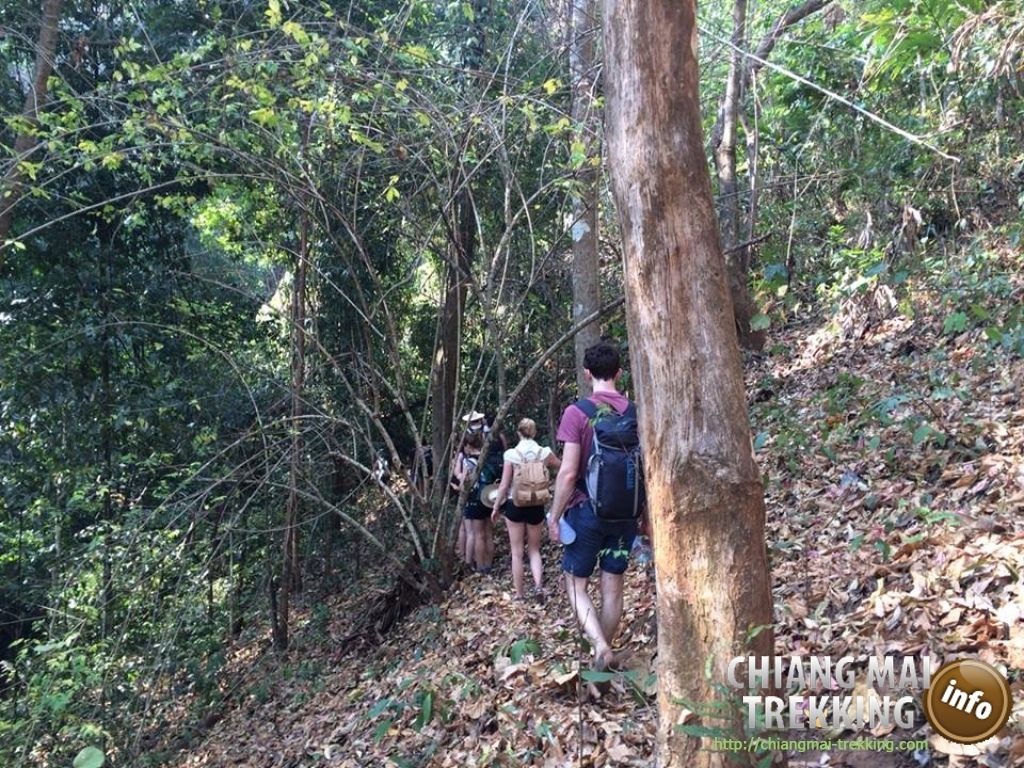 Wonderful 3-days/2-nights trekking | Chiang Mai Trekking | The best trekking in Chiang Mai with Piroon Nantaya